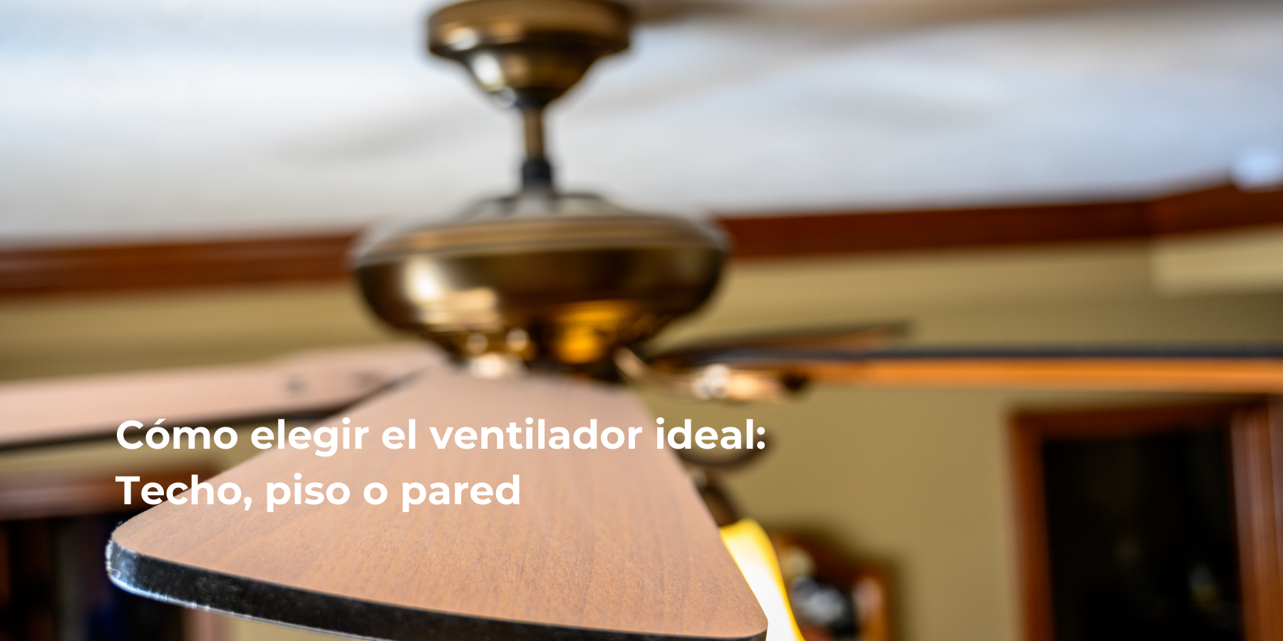 Cómo Elegir el Ventilador Ideal: Techo, Piso o Pared