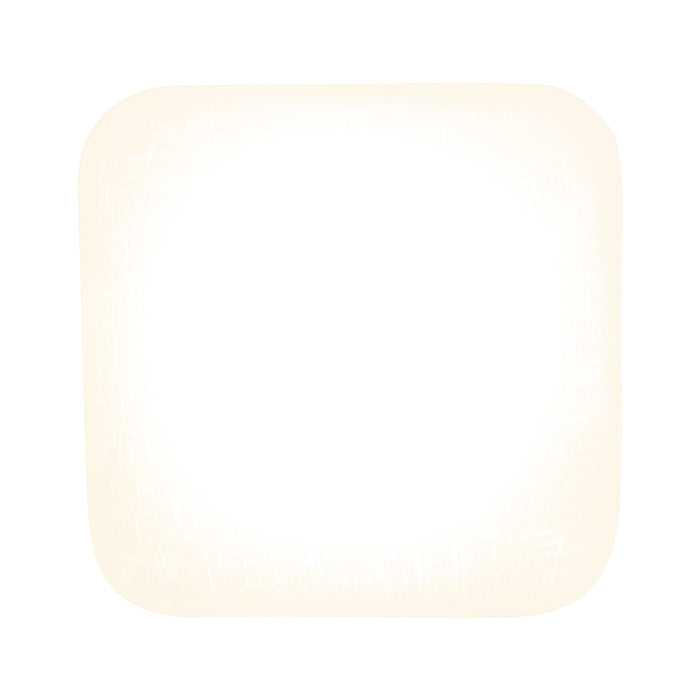 Plafón De Techo Led 17w Moderno, Níquel Satinado, Luz Cálida