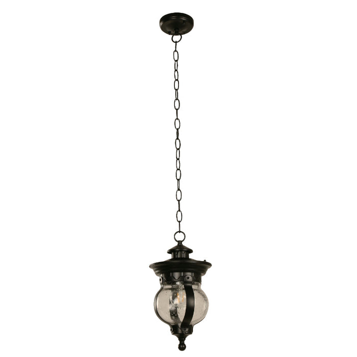 LAMP. EXT. COLGANTE NEGRO 1L E27 40W