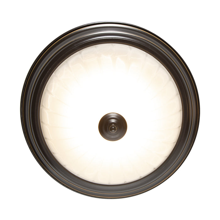 Lámpara De Techo Led 17w Estilo Clásico, Bronce Antiguo