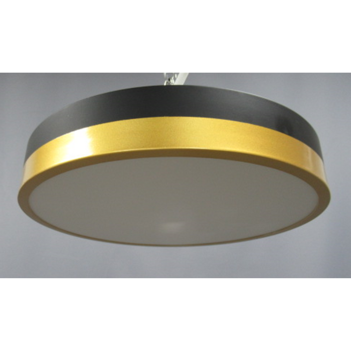 Plafón de Techo LED - Acero con Pantalla de Acrílico, Acabado Negro Mate y Dorado, 24W