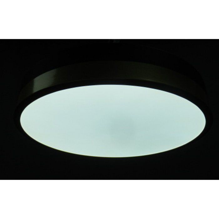 Plafón de Techo LED - Acero con Pantalla de Acrílico, Acabado Negro Mate y Dorado, 24W