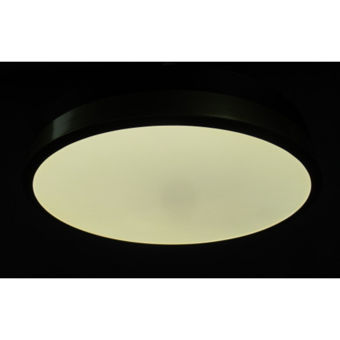 Plafón de Techo LED - Acero con Pantalla de Acrílico, Acabado Negro Mate y Dorado, 24W