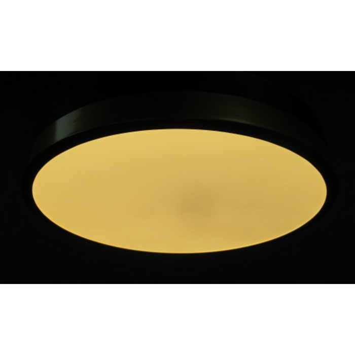 Plafón de Techo LED - Acero con Pantalla de Acrílico, Acabado Negro Mate y Dorado, 24W